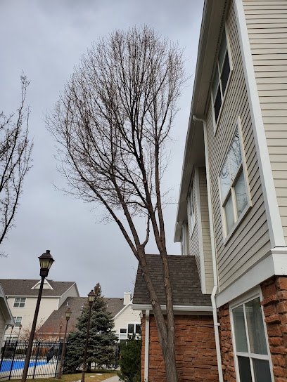 Woodruff Tree Trimming and Removal