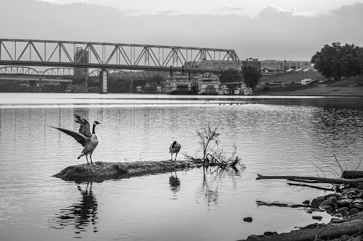 Park «George Rogers Clark Park», reviews and photos, 219 Riverside Dr, Covington, KY 41011, USA