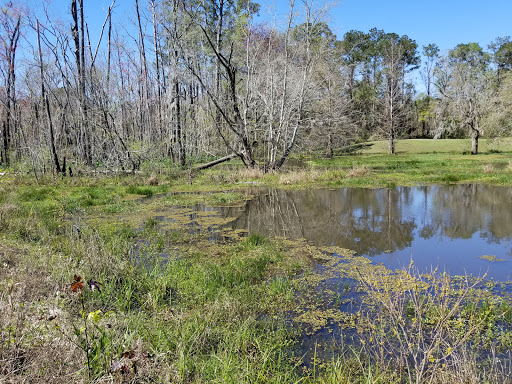 Public Golf Course «Jake Gaither Golf Course», reviews and photos, 913 Bob White Dr, Tallahassee, FL 32305, USA