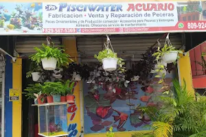 Pisciwater acuario image