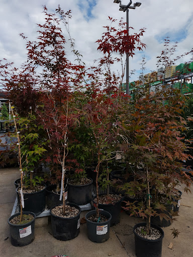 Home Improvement Store «The Home Depot», reviews and photos, 1100 Liberty Park Dr, Hurricane, WV 25526, USA