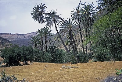 Photos of Stade de Tafraout