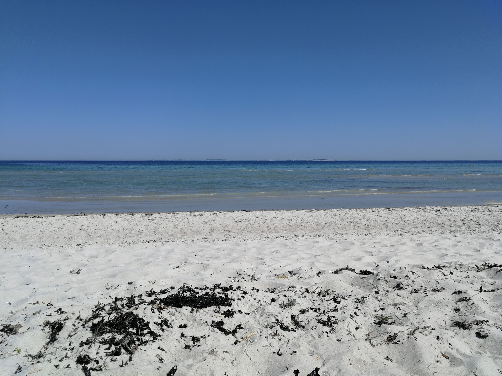 Saksild Beach'in fotoğrafı - rahatlamayı sevenler arasında popüler bir yer