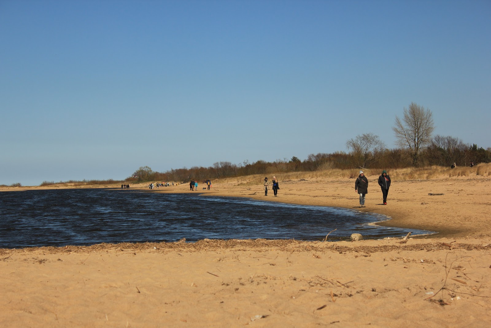 Φωτογραφία του Vitsula beach Gdansk ubicado en área natural