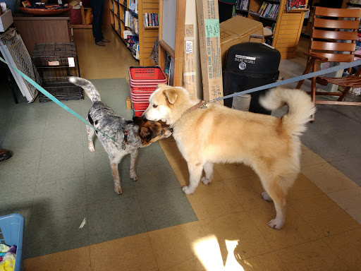 Thrift Store «Tailwaggers Thrift Shop», reviews and photos, 2737 F St, Eureka, CA 95501, USA