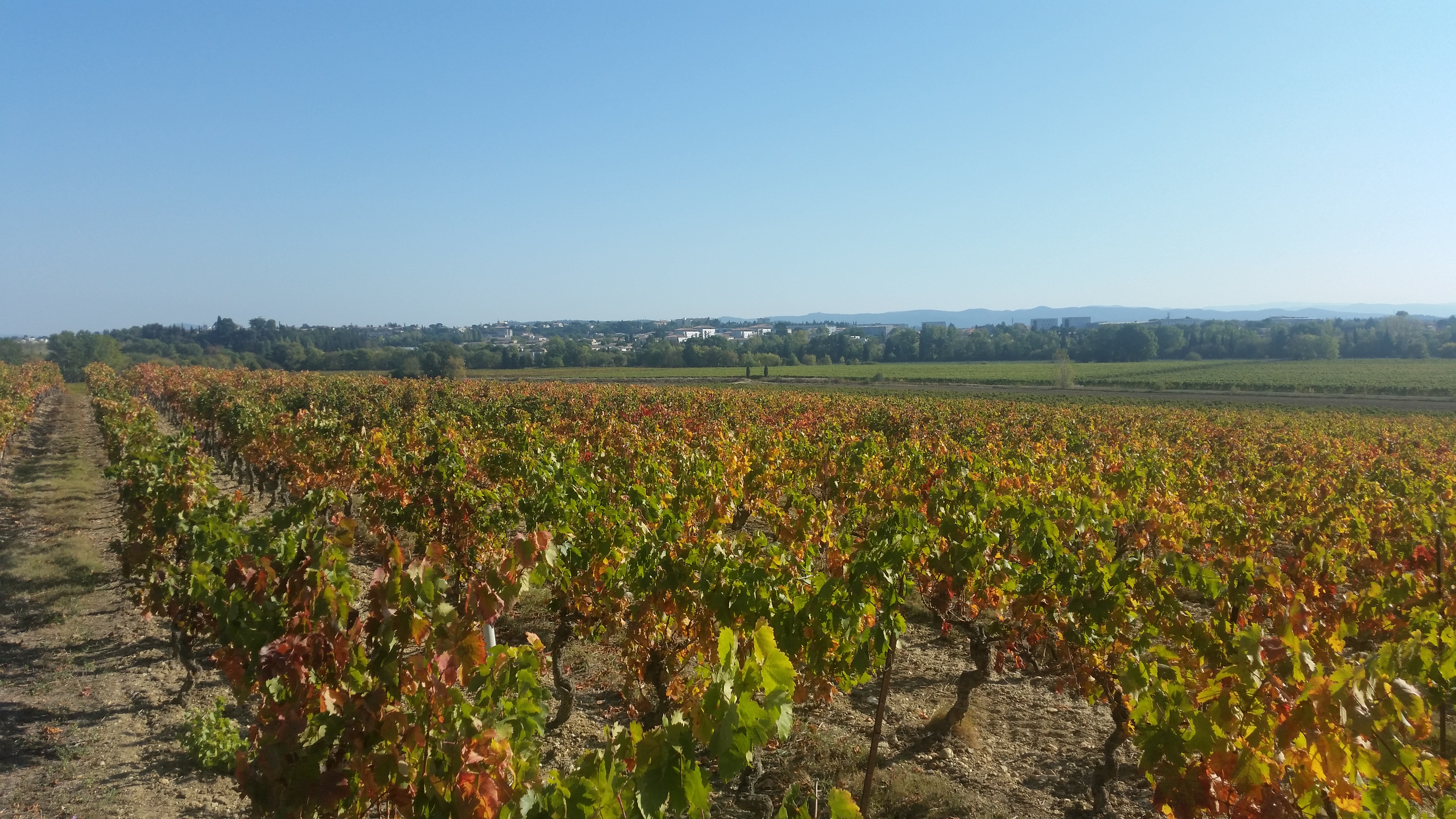Photo n° 1 de l'avis de Gabriel.u fait le 15/10/2017 à 20:44