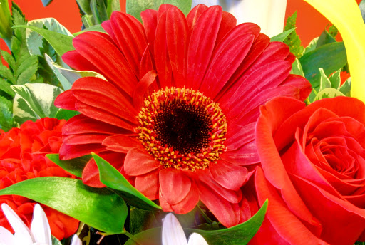 Florist «Red Mountain Florist, Inc.», reviews and photos, 6727 E McDowell Rd #105, Mesa, AZ 85215, USA