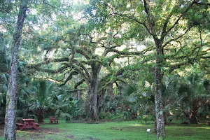 Trout Lake Nature Center image