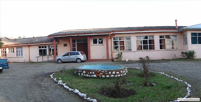 Liceo Agropecuario y Forestal Lipingüe
