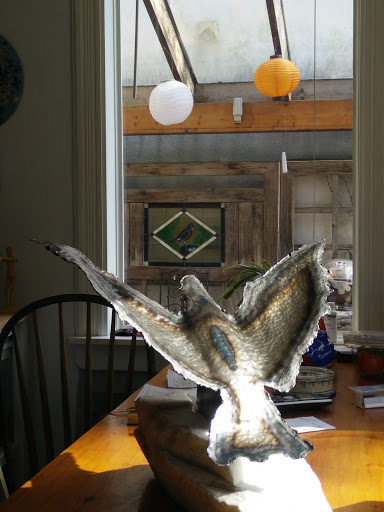 Pet Supply Store «Park Feed Store & Pet Supply», reviews and photos, 5775 Park Blvd N, Pinellas Park, FL 33781, USA