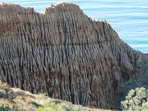 Nature Preserve «Torrey Pines State Reserve», reviews and photos, 12600 N Torrey Pines Rd, La Jolla, CA 92037, USA