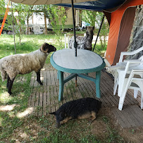 Photos des visiteurs du Restaurant Camping Les Eychecadous à Artigat - n°10