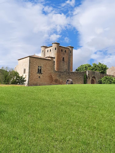 Château d'Arques à Arques
