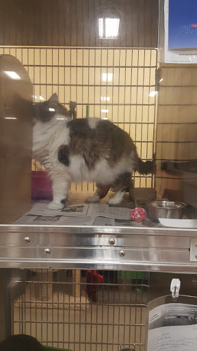 Pet Supply Store «PetSmart», reviews and photos, 159 N Weber Rd, Bolingbrook, IL 60490, USA