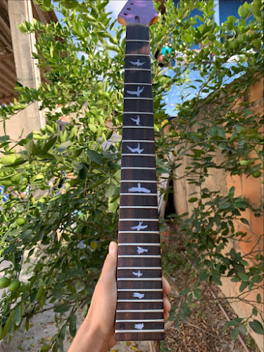 Avaliações sobre Luthieria Souza em Belo Horizonte - Loja de instrumentos musicais