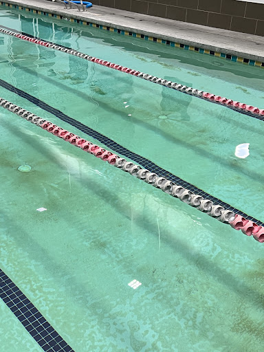 Gym «VASA Fitness University», reviews and photos, 1259 800 E, Orem, UT 84097, USA