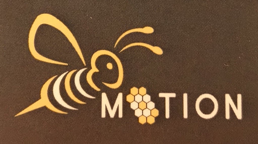 Bee Motion Accounting Ltd