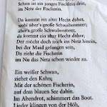 Photo n°4 de l'avis de Simona.a fait le 30/07/2021 à 12:36 sur le  Restaurant Seepromenade Meersburg à Meersburg