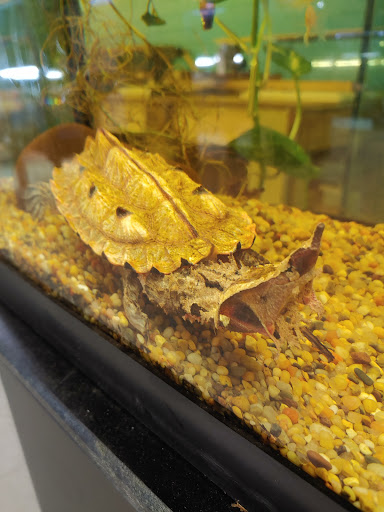 Aquarium «Skoolz of Fish», reviews and photos, 1503 Chamberlayne Ave, Richmond, VA 23222, USA