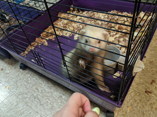 Tropical Fish Store «Caribbean Pets», reviews and photos, 298 Central Ave, Jersey City, NJ 07307, USA