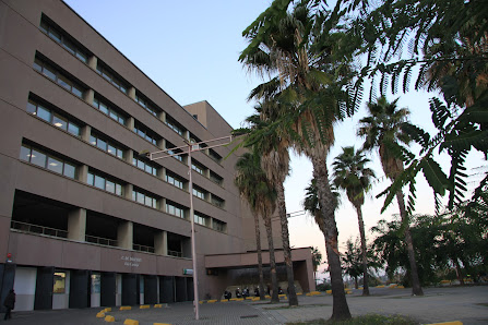 Agencia Andaluza de Instituciones Culturales Edificio Estadio Olímpico, Zona Isla de la Cartuja, Puerta M, 41092 Sevilla, España