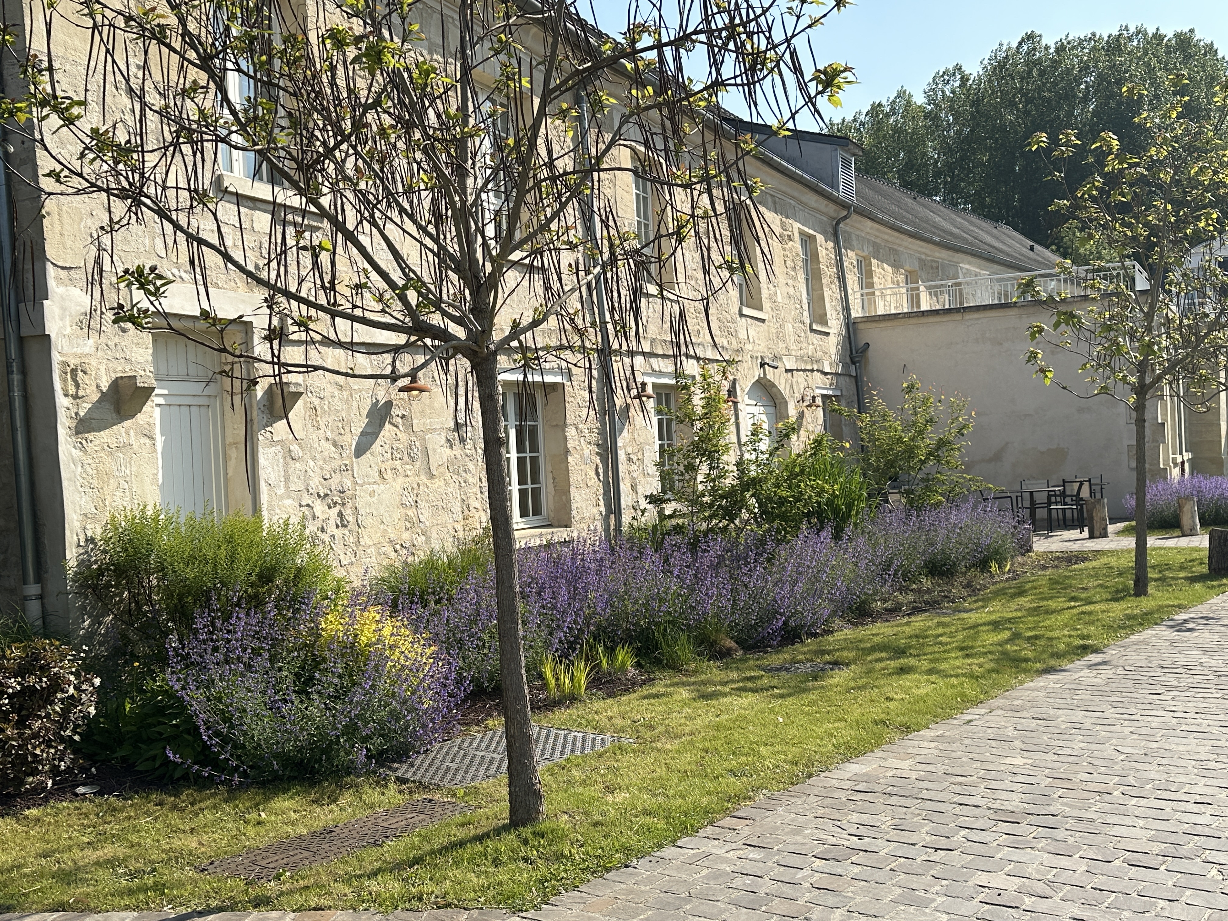 Photo n° 1 de l'avis de Luigi.a fait le 10/08/2021 à 04:23