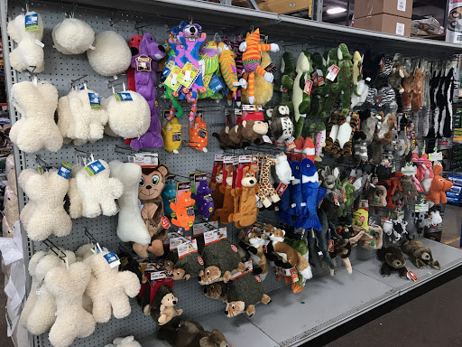 Pet Store «Pet Food Discounters», reviews and photos, 607 Woodbrook Dr, Charlottesville, VA 22901, USA