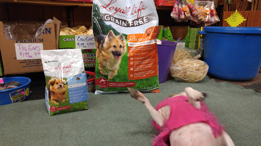 Pet Supply Store «Higbie Farm Supplies Inc», reviews and photos, 3440 Union St, North Chili, NY 14514, USA