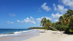 Photo de Grande terre beach situé dans une zone naturelle
