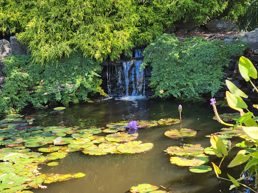 Vineyard «Duck Walk Vineyard», reviews and photos, 231 Montauk Hwy, Water Mill, NY 11976, USA