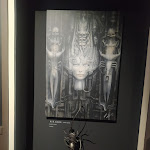 Photo n° 2 de l'avis de Laurence.o fait le 18/11/2021 à 17:15 pour Naia Museum, Musée-Galerie des Arts de l'Imaginaire à Rochefort-en-Terre