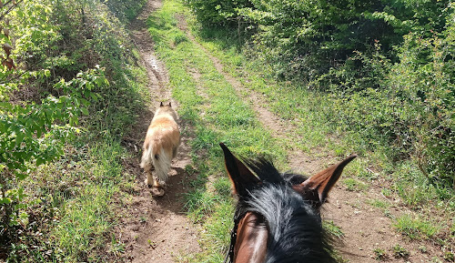 Centre équestre Ferme Equestre Le Corral Amagney