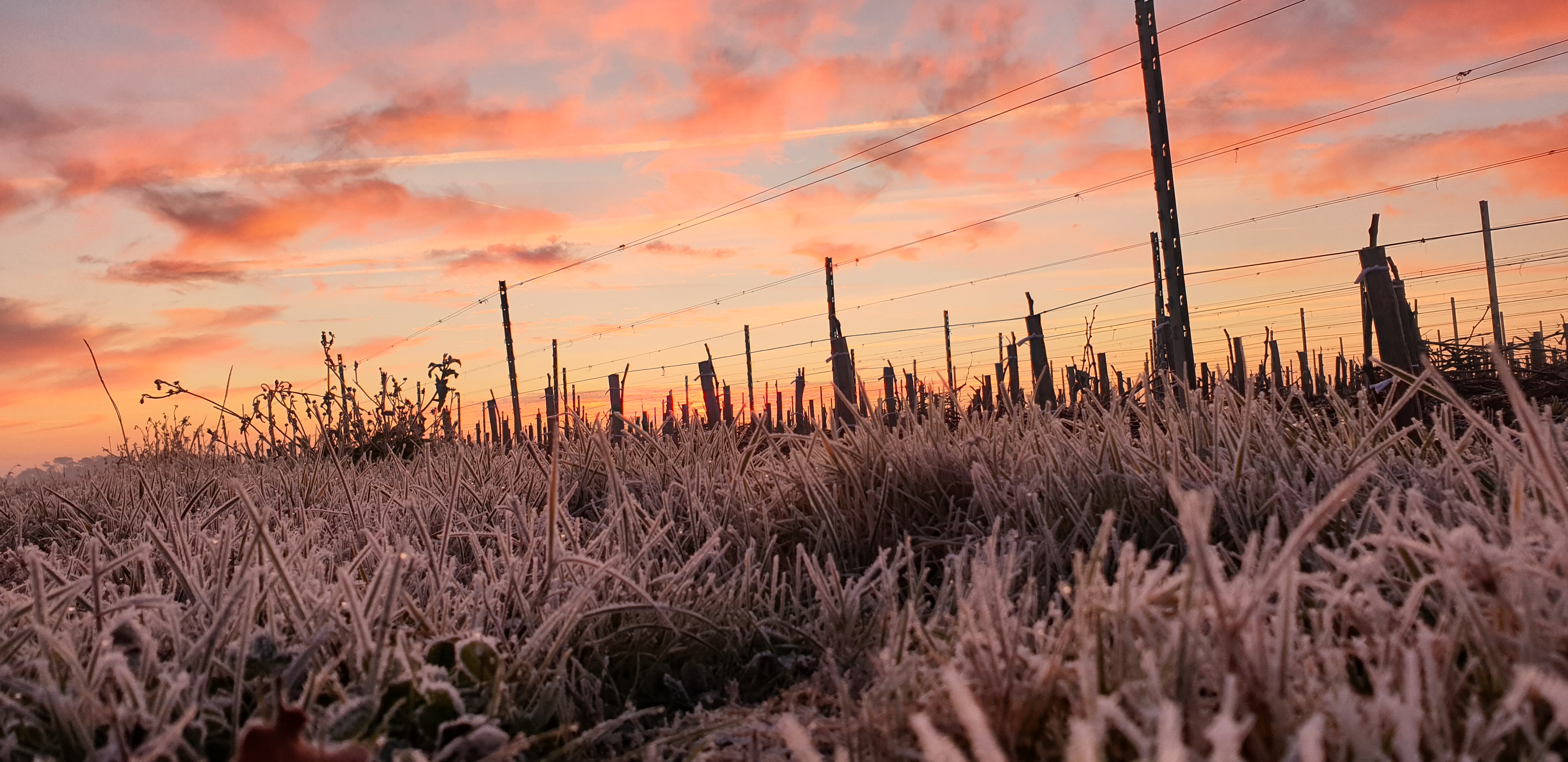 Photo n° 1 de l'avis de GERALD.E fait le 21/01/2019 à 15:19