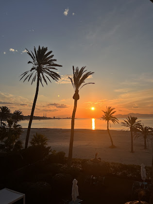 Les plus récentes hôtels Bonavida Apartments 07400 Port d'Alcúdia