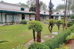 Oriental Hostel image