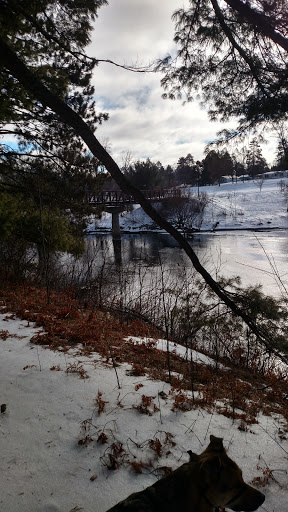 Park «Oakland Park», reviews and photos