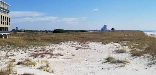 Travel Agency «AAA Milwaukee S», reviews and photos