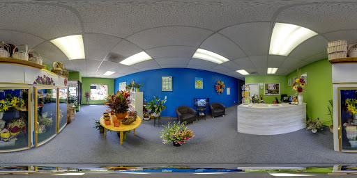 Florist «Xpressions Florist», reviews and photos, 14373 Blanco Rd, San Antonio, TX 78216, USA