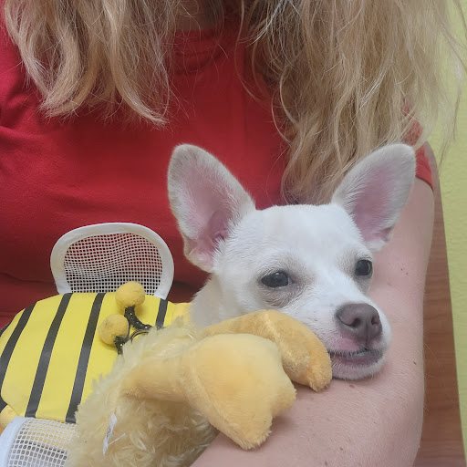 Pet Supply Store «PetSmart», reviews and photos, 6204 W Park Blvd, Plano, TX 75093, USA