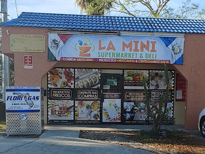 La Mini Supermarket of tampa llc