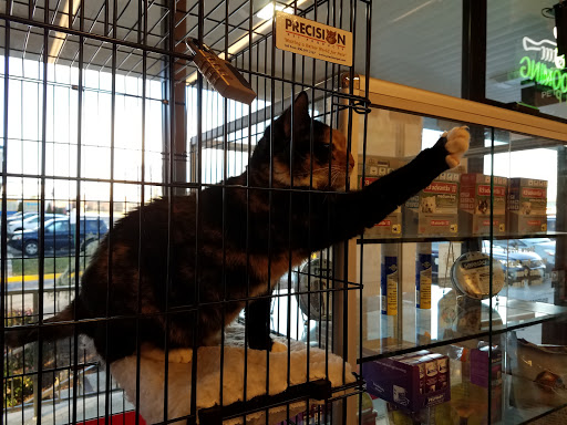 Pet Store «Tango PET DEPOT», reviews and photos, 11213 Lee Hwy, Fairfax, VA 22030, USA