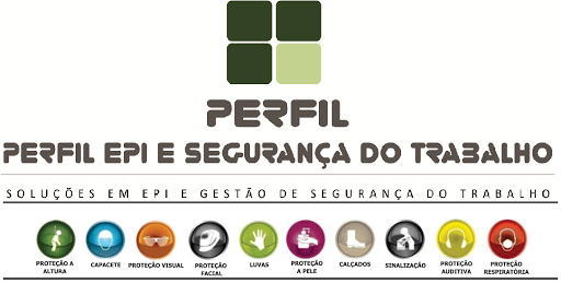 Logo da empresa - Perfil EPI e Segurança do Trabalho