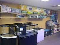 Aqualinks - Photo 6 - Car repair in Ocala, FL, Ocala