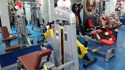 My Gold Unisex Gym - 248, Gopur Square, near Shree chirag tower, Gopur Square, Sector D, Gopur Colony, Indore, Madhya Pradesh 452009, India