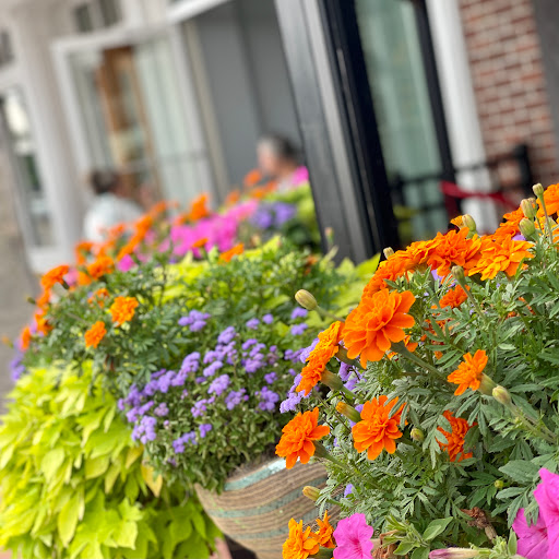 Shopping Mall «Longmeadow Shops», reviews and photos, 666 Bliss Rd # 2, Longmeadow, MA 01106, USA