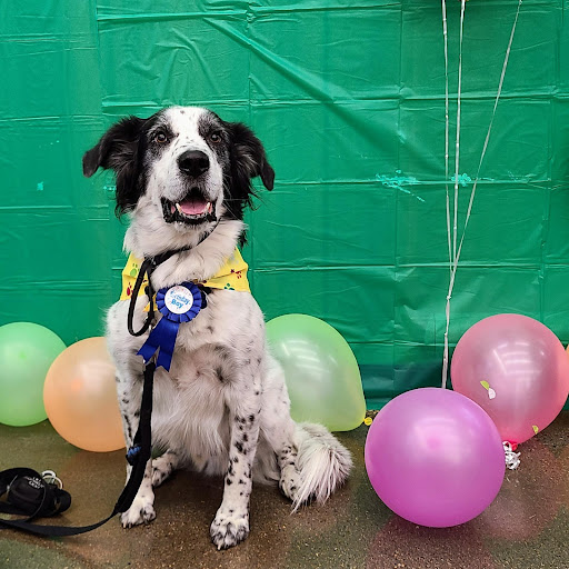 Pet Supply Store «Pet Supplies Plus», reviews and photos, 713 Brandilynn Blvd, Cedar Falls, IA 50613, USA