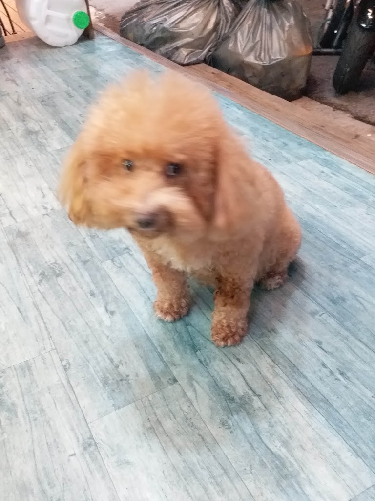 Tea's原味 的照片