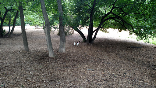 Park «Lake of the Isles Dog Park», reviews and photos, 2845 W Lake of the Isles Pkwy, Minneapolis, MN 55405, USA