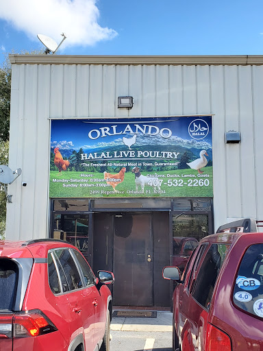 Orlando Live Poultry