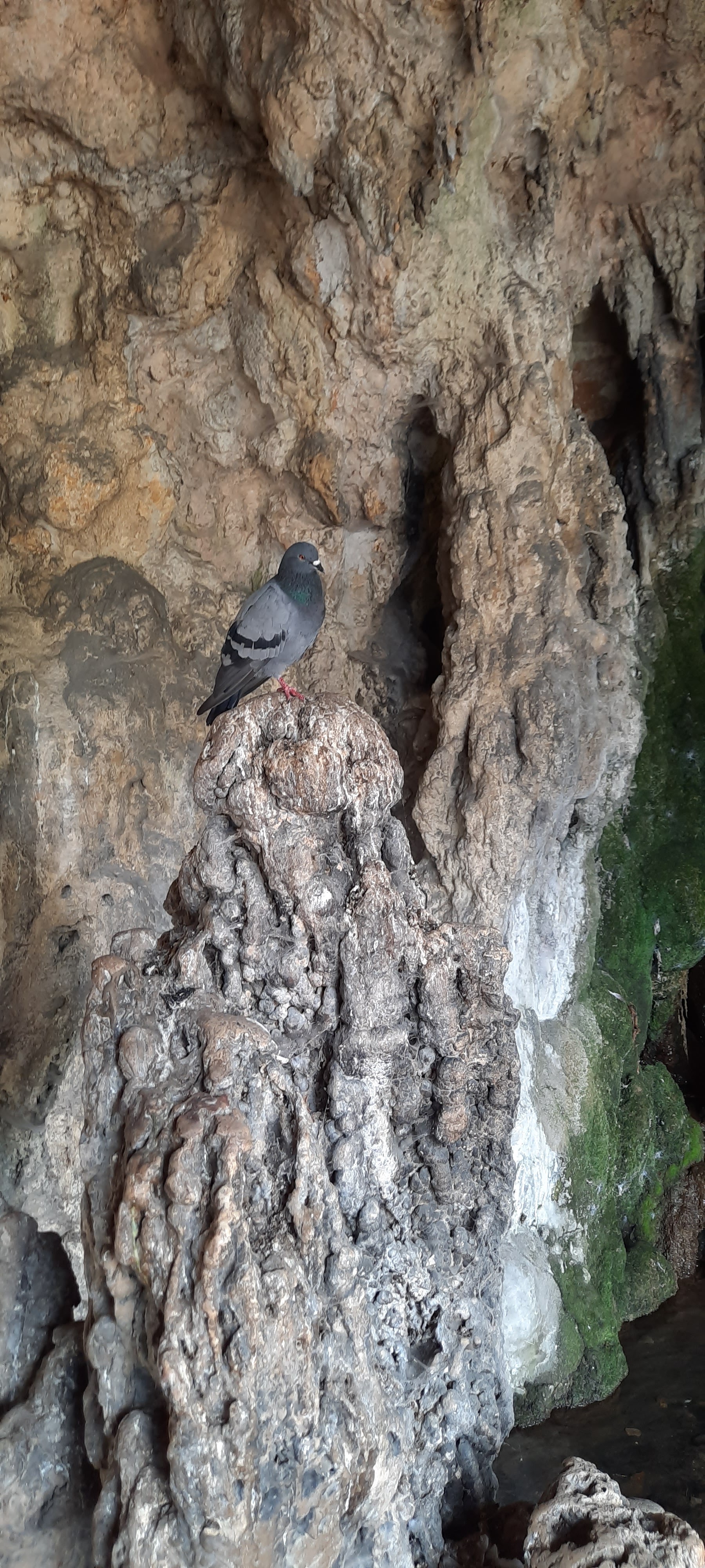 Photo n° 5 de l'avis de Val.r fait le 24/08/2020 à 15:09